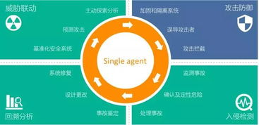 青藤獲2億元B輪融資，研發大腦扎根光谷加速網絡安全技術創新